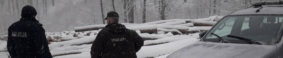 Policjant i strażnik leśny stoją na leśnej drodze.