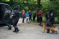 pokaz działania policji - zatrzymanie