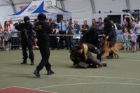Dni bezpieczeństwa w bielskim Parku Słowackiego