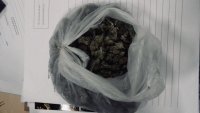 Narkotyki zabezpieczone przez policjantów z KMP w Bielsku-Białej na terenie powiatu bielskiego