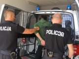 Policjanci umieszczają osobę doprowadzoną w przedziale dla osób zatrzymanych radiowozu oznakowanego.