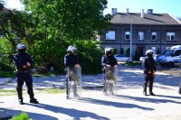 Czterech policjantów oddziałów prewencji stoi w szyku.