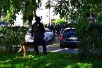 Przewodnik psa policyjnego stoi wraz z psem przy drodze, którą idą kibice.