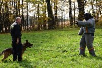 Policjant stoi z psem służbowym przy nodze, na przeciwko pozorant udający przestępce.