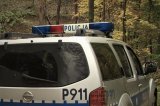 Policyjny radiowóz stoi przy wjeździe do lasu.
