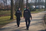 Umundurowani policjanci idą przez park.